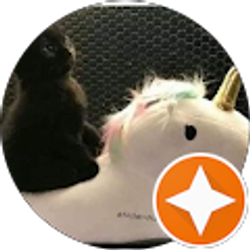 Profile photo of Alex F