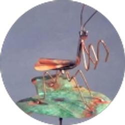 Profile photo of Claudia Burns