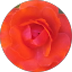 Profile photo of Joeceleen Galvan