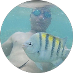 Profile photo of enrique falcon