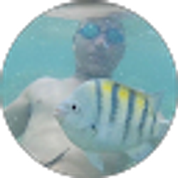 Profile photo of enrique falcon