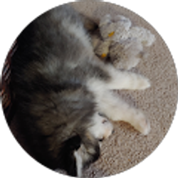 Profile photo of Austin Parker