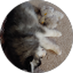 Profile photo of Austin Parker