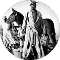 Profile photo of Lefloyd Williams