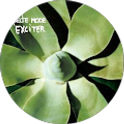 Profile photo of Brian Stewart