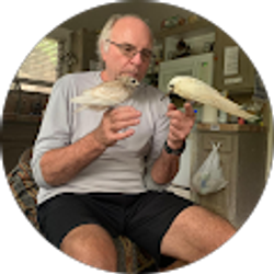 Profile photo of Randy Harper