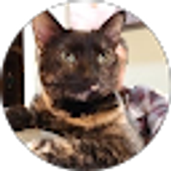 Profile photo of Thunder 21