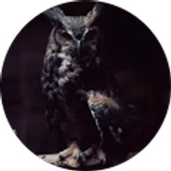 Profile photo of E. Wright