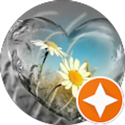 Profile photo of Teresa Covey