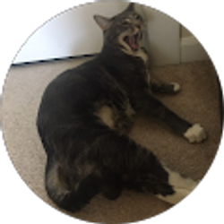 Profile photo of Natalie Turner