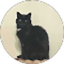Profile photo of Gianna Bermeo