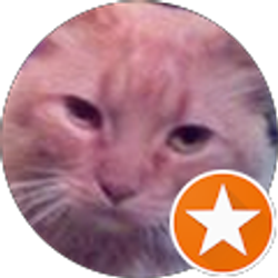 Profile photo of Johnattan Benitez