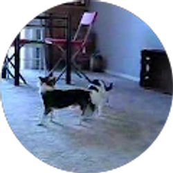 Profile photo of Sujin Kim