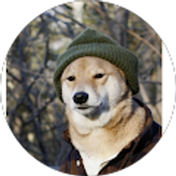 Profile photo of Addison Merritt