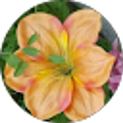 Profile photo of Kate Housel
