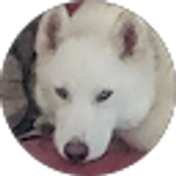 Profile photo of Doug Mapel