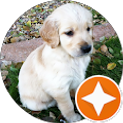 Profile photo of Jun Wang