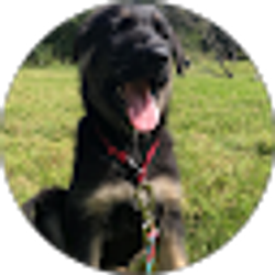 Profile photo of Lukie
