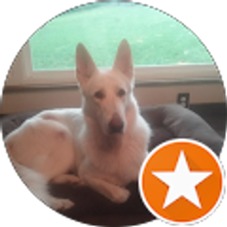 Profile photo of Michelle Higgins