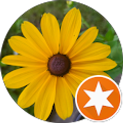 Profile photo of Masha Cetnik Berardi