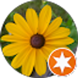 Profile photo of Masha Cetnik Berardi