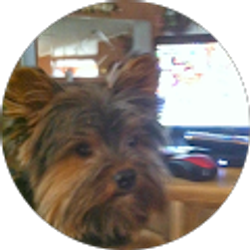 Profile photo of Michael McClure