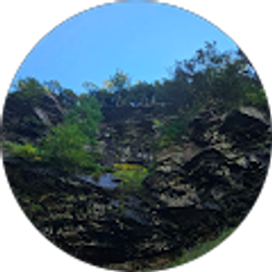 Profile photo of Mark R