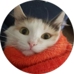 Profile photo of Antz 15