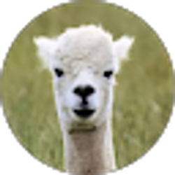 Profile photo of Paul Magnetti
