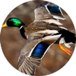 Profile photo of Zach Lamm