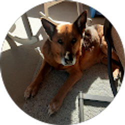 Profile photo of Riley Vance