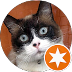 Profile photo of BuKiddy