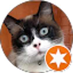 Profile photo of BuKiddy