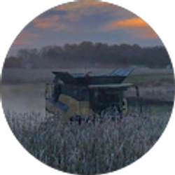 Profile photo of Justin Phelps