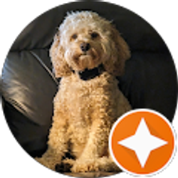 Profile photo of Shlrley Ellison