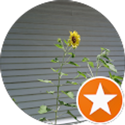 Profile photo of Tammy Jay