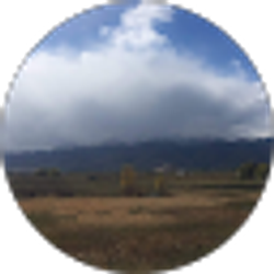 Profile photo of Bruce Brown