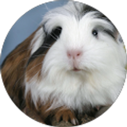 Profile photo of Rebecca Roe