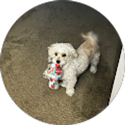 Profile photo of Karla