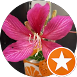 Profile photo of Teresita Ramos