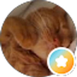Profile photo of Angel Fumagalli