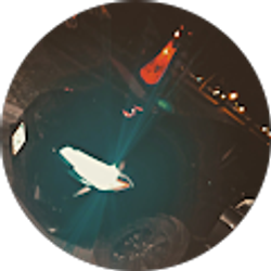 Profile photo of Matthew Mitchell