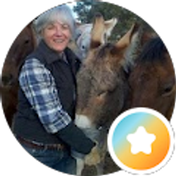 Profile photo of shannon donnelly