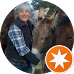 Profile photo of shannon donnelly