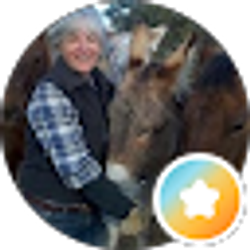 Profile photo of shannon donnelly