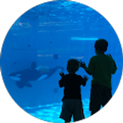 Profile photo of Michael Merrow