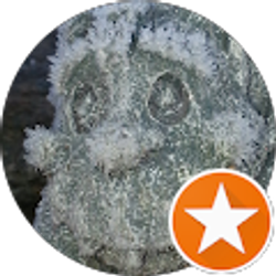 Profile photo of Debbie Flyger