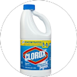 Profile photo of Miquel Rodriquez