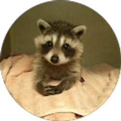 Profile photo of Andrea Charpentier