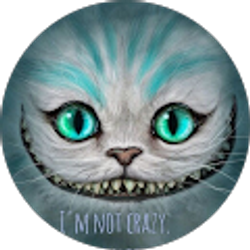 Profile photo of David C